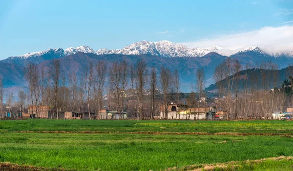 Vila Com Montanhas Cobertas Neve Seu Fundo Swat Valley Paquistão — Fotografia de Stock