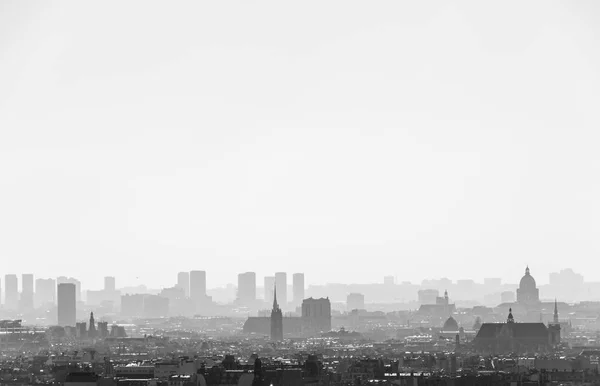 Siyah Beyaz Panoramik Paris Manzarası — Stok fotoğraf