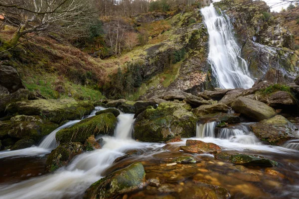 Powerscourt Waterfall Wicklow Dublin Irlande Avril 2015 Cascade Powerscourt Wicklow — Photo