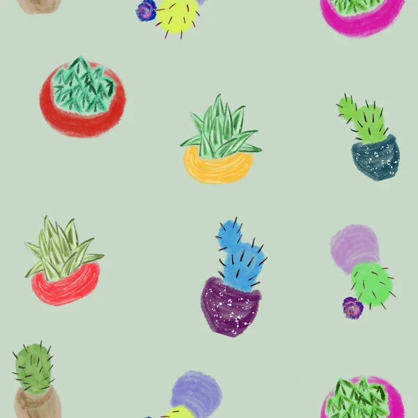 Modèle Sans Couture Avec Suculents Cactus Dans Des Pots Colorés — Photo