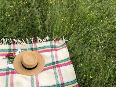 Yeşil çimen arka planında kırmızı şakayık ve hasır şapkalı püsküllü bir battaniye. Uzayı kopyala Piknik konsepti