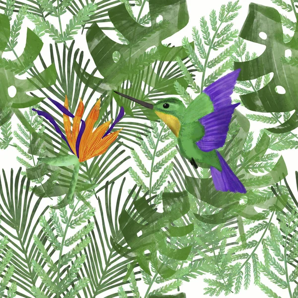 Hummingbird/colibri and orange strelitzia on tropical leaves. White background. Tropical summer print. Packaging, wallpaper, stationery, fabric, textile design