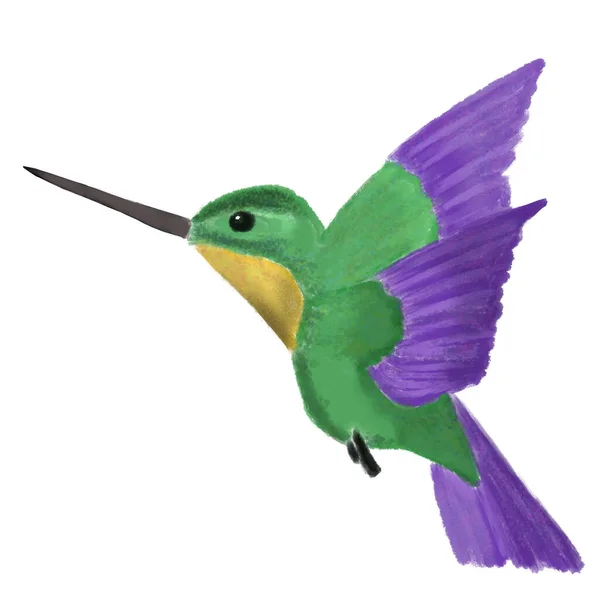 Watercolor Hummingbird Colibri Exotic Bird Flying Colorful Wings White Background — Stok fotoğraf