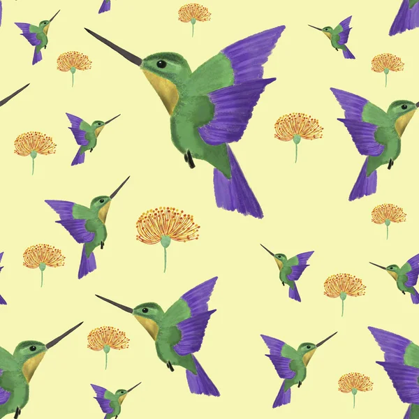 Απρόσκοπτη Μοτίβο Πολύχρωμα Πουλιά Colibri Και Τροπικά Πορτοκαλί Λουλούδια Ανοιχτό — Φωτογραφία Αρχείου