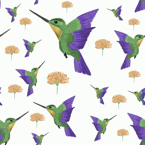 seamless background with birds/colibri/hummingbird and orange tropical flower on white background. Exotic summer pattern. Print, packaging, wallpaper, textile, fabric design