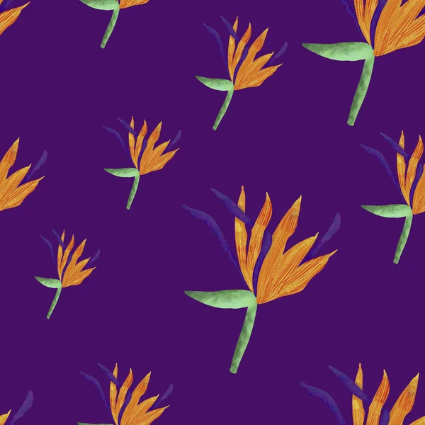 Tropical Flores Laranja Strelitzia Sobre Fundo Violeta Padrão Sem Costura — Fotografia de Stock