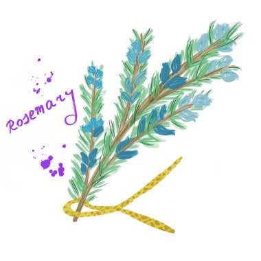 Mavi çiçekli biberiye dalı, sarı kablo, mor boya lekeleri ve beyaza izole edilmiş el yazısı metni. Poster, kartpostal, kupa, kırtasiye, ürünler, otlar, ambalaj, duvar kağıdı, tekstil tasarımı