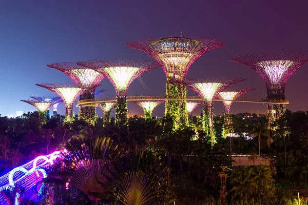 SINGAPORE-SEP 04: Vista noturna de The Supertree Grove em Gardens by the Bay em 04 de setembro de 2014 em Singapura, atrás da areia de Marina Bay — Fotografia de Stock