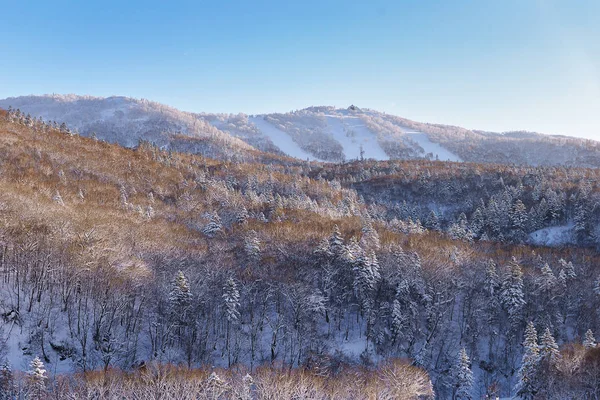 Pulverschnee-Berg in Sapporo, Hokkaido Japan — Stockfoto