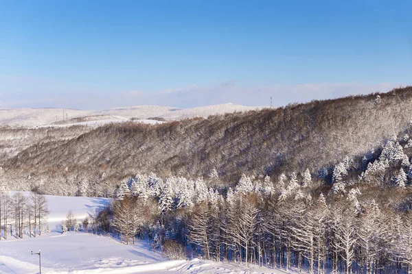 Neve fresca montagna a Sapporo, Hokkaido Giappone — Foto Stock