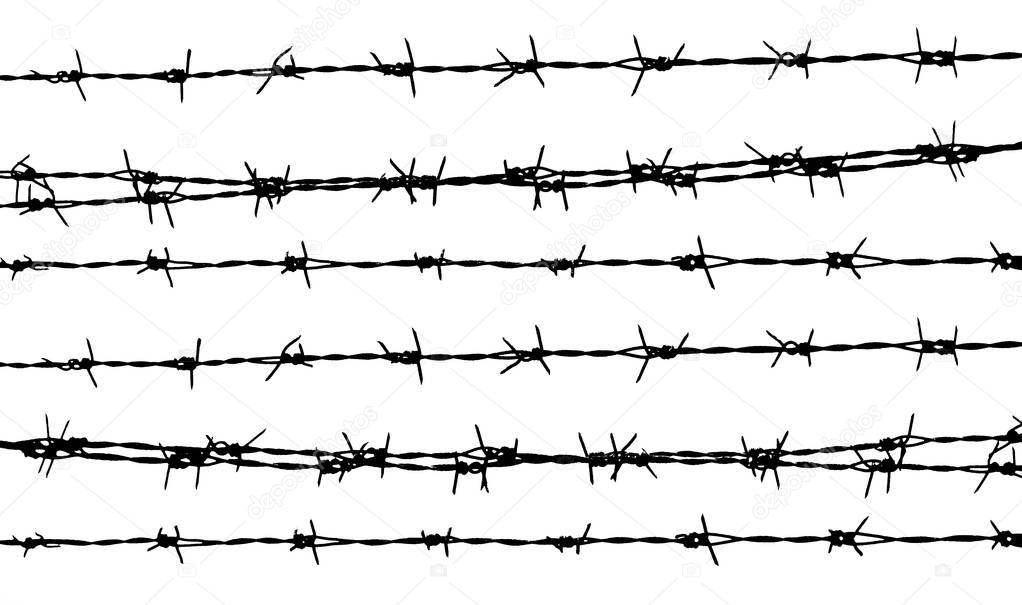 Lines of Barbed wire