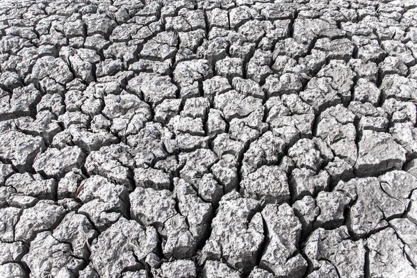 Dry cracked mud in waterless area — Stock Photo, Image