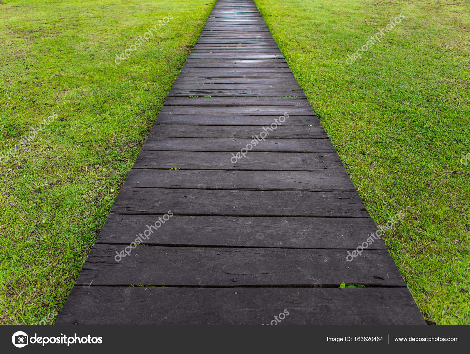 Holzweg durch den Rasen — Stockfoto © kikujungboy 163620464
