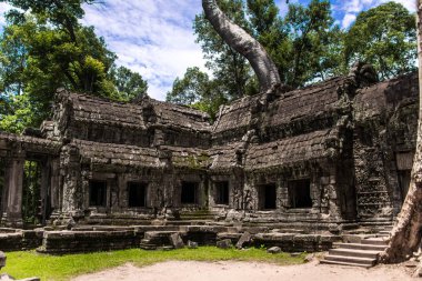 Ta Prohm Tapınağı kalıntıları içinde gizli ormanlarda, Siem Riep, Kamboçya