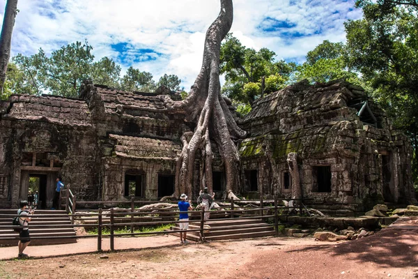 Ta Prohm Tapınağı kalıntıları içinde gizli ormanlarda, Siem Riep, Kamboçya — Stok fotoğraf