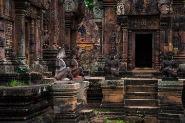 Banteay Srei büyük ölçüde kırmızı kumtaşı inşa ve bir 10 yüzyıla Kamboçyalı tapınak Hindu tanrısı için Shiva, Siem Reap, Kamboçya adanmış