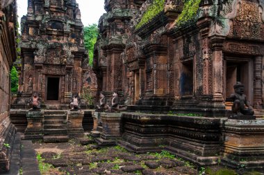 Banteay Srei büyük ölçüde kırmızı kumtaşı inşa ve bir 10 yüzyıla Kamboçyalı tapınak Hindu tanrısı için Shiva, Siem Reap, Kamboçya adanmış
