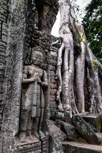 Ta prohm Tempelruinen versteckt im Dschungel, siem riep, Kambodscha — Stockfoto