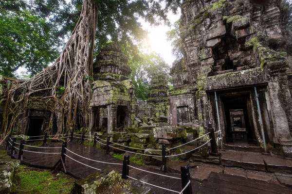 Ta Prohm Tapınağı kalıntıları içinde gizli ormanlarda, Siem Riep, Kamboçya — Stok fotoğraf