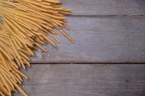 Dřevěné pozadí wirh sušené rýže — Stock fotografie