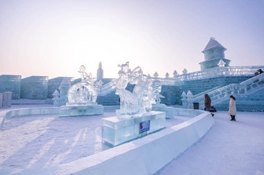 Harbin, Çin - 15 Ocak 2020: Harbin Uluslararası Buz ve Kar 