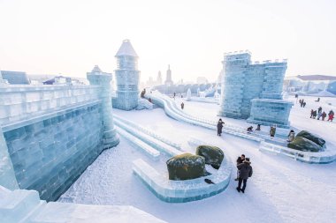 Harbin, Çin - 15 Ocak 2020: Harbin Uluslararası Buz ve Kar 