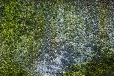 Çakıl, yosun ve liken karışımı beton duvar dokusu.