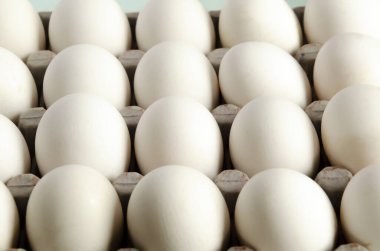 Geri dönüşümlü kâğıt ambalajında paketlenmiş yumurta. 