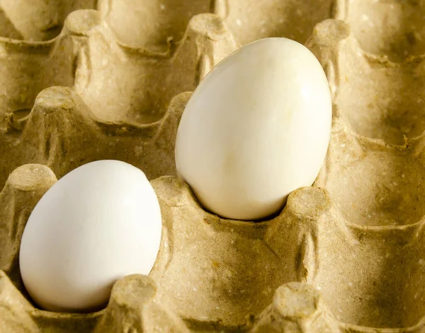 Geri dönüşümlü kağıt ambalajda tavuk ve kaz yumurtası..