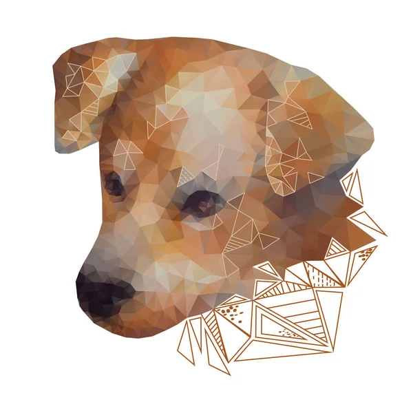 Bir köpek izole stilize portresi — Stok Vektör