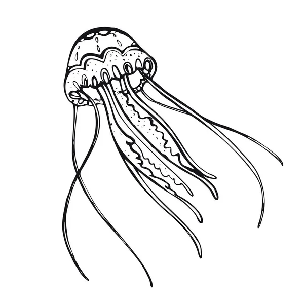 Medúza. A víz alatti világ lakója kézzel rajzolt — Stock Vector