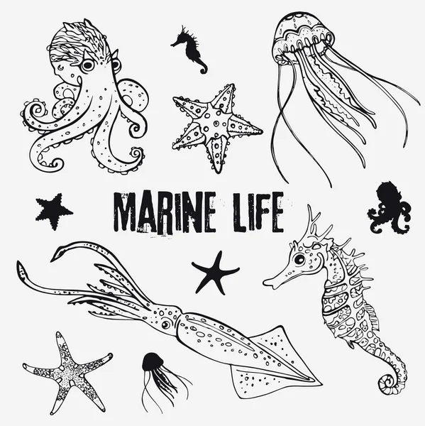 Conjunto de vida marina lineal en el estilo de boceto pulpo, medusas, dos estrellas de mar, caballito de mar, calamar — Archivo Imágenes Vectoriales