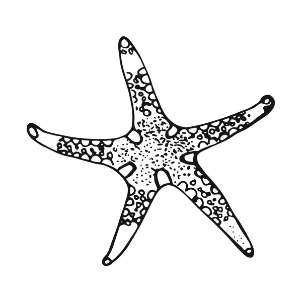 Estrella de mar. Habitante dibujado a mano del mundo submarino — Archivo Imágenes Vectoriales