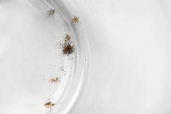 Moisissure noire sur une plaque transparente en verre champignons vaisselle sale — Photo