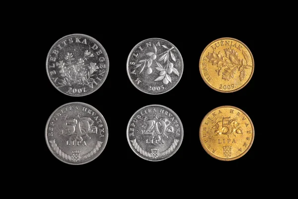一套三种不同的硬币克罗地亚共和国5 50里拉铜镍币 黑色背景 硬币的特点是植物 — 图库照片