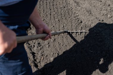Bahçede kürekle çalışmak. Toprak ekimi için hazırlık. 