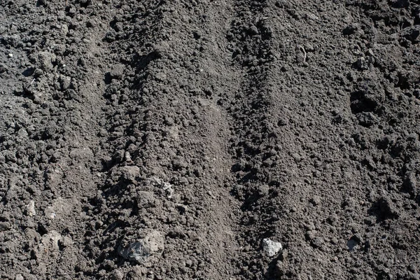 Dry land. garden planting seeds Close-up, concept gardening, yard work — Stock Photo, Image