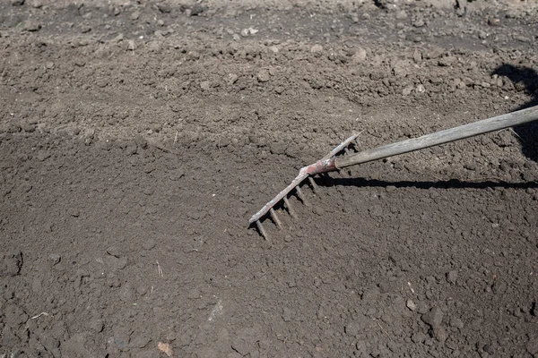 Arbetar med spade i trädgården. Markberedning för plantering. — Stockfoto