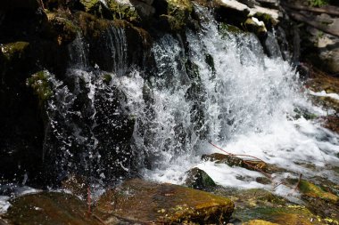 Dağ nehri şelalesi, taşlar ve dallar, sığ sular. yakın plan