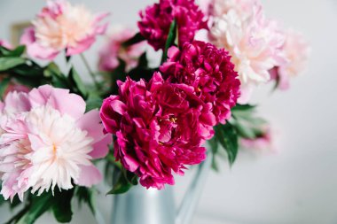 pembe çiçekler. Metalik gri sulama kutusundaki kıvırcık şakayık ranunculus, boş uzay