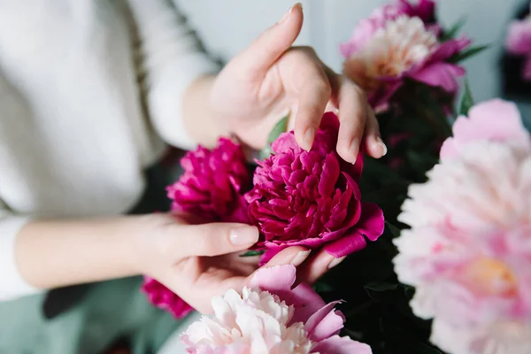 Rosa persa buttercup flores en las manos. Peonía rizada ranúnculo — Foto de Stock