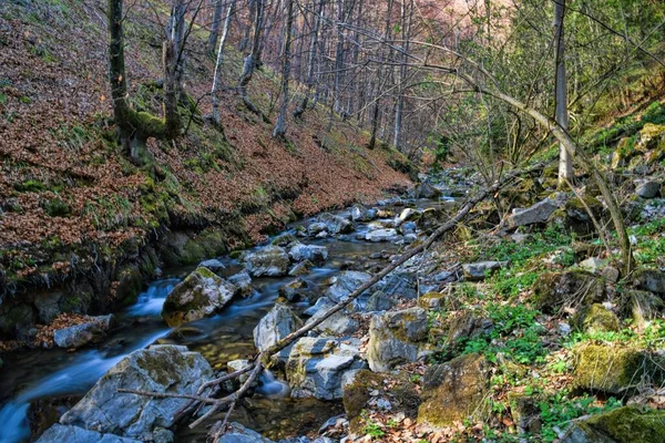 Hdr Taşlı Nehrin Açık Hava Fotoğrafçılığı — Stok fotoğraf