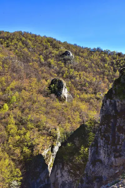 Kayalık Dağ Hdr Dış Manzara Fotoğrafçılığı — Stok fotoğraf