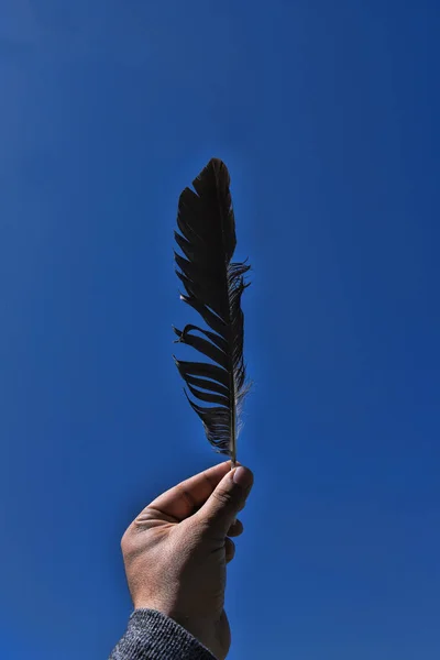 Photography of human hand with feather