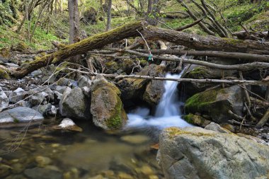 Vahşi nehir HDR manzara fotoğrafçılığı