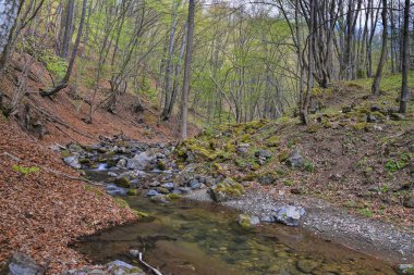 Vahşi nehir HDR manzara fotoğrafçılığı