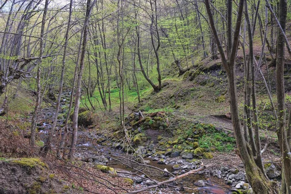 Hdr Photographie Paysage Rivière Dans Nature — Photo