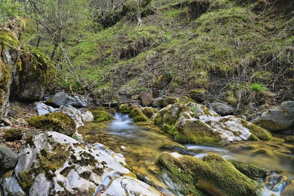 Hdr Tájkép Folyó Vad — Stock Fotó