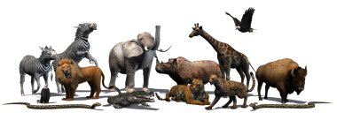 Beyaz arka plan üzerinde izole vahşi - hayvan