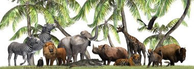 Vahşi doğada hayvanların